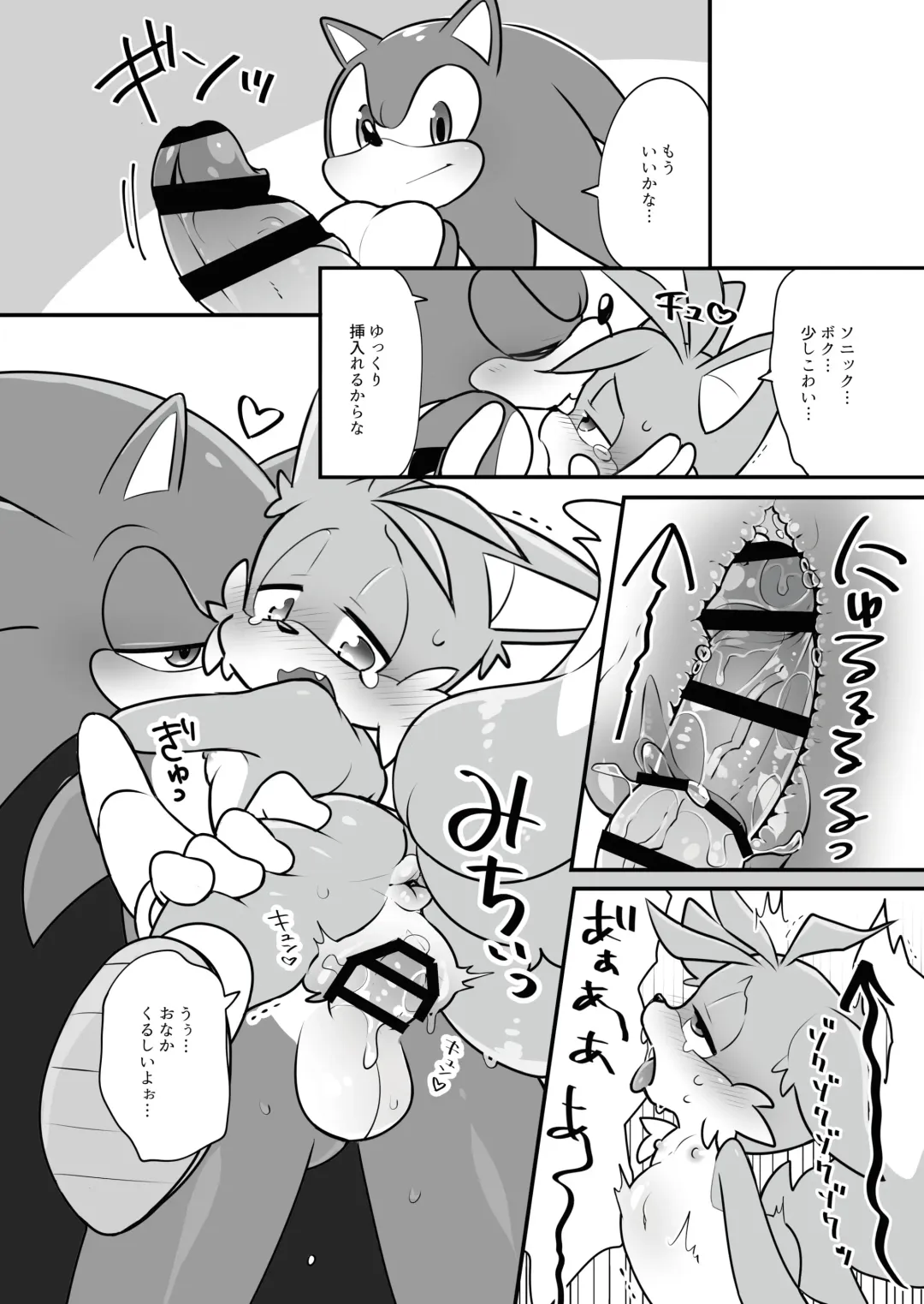[Hentaib] Tails and Sonic's special Fuss Fhentai - Page 9