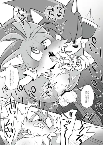 [Hentaib] Tails and Sonic's special Fuss Fhentai - Page 12