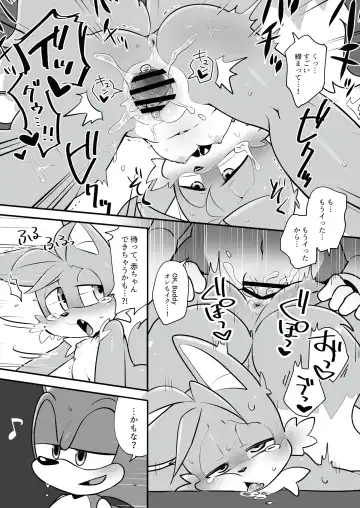 [Hentaib] Tails and Sonic's special Fuss Fhentai - Page 13