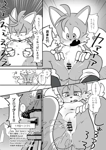 [Hentaib] Tails and Sonic's special Fuss Fhentai - Page 17
