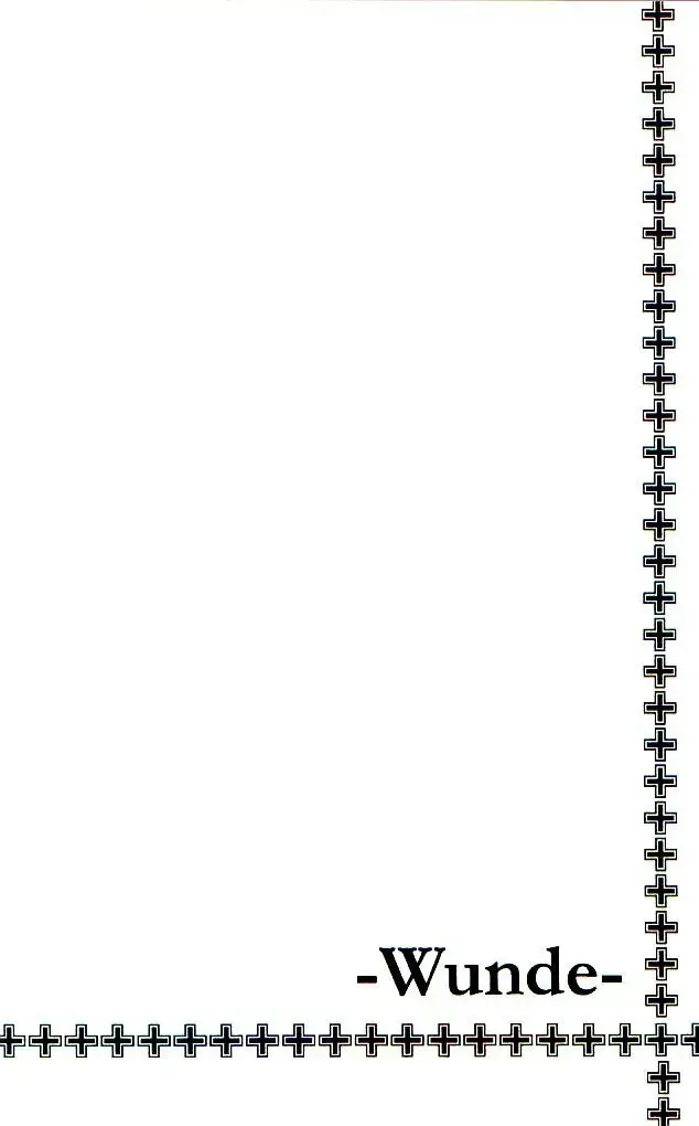 [Tsunoda Way] Kizu -Wunde- Fhentai - Page 25