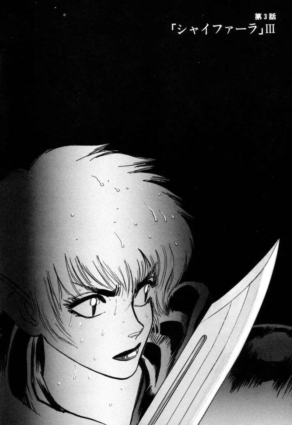 [Yamamoto Atsuji] Tsurugi no Kuni no Arnis Fhentai - Page 94