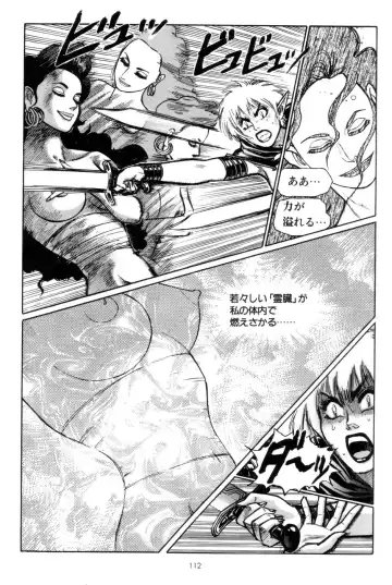 [Yamamoto Atsuji] Tsurugi no Kuni no Arnis Fhentai - Page 115