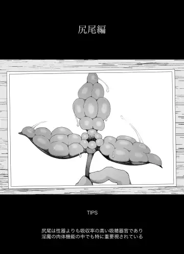 [Ikinuki.] "Shippo Hen" Madougu-ya no Kyokubu Seme Choukyou Nisshi Fhentai - Page 22