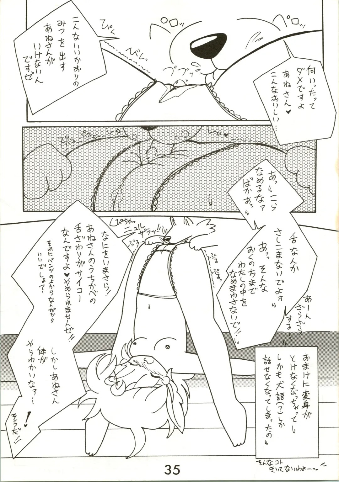 [Inu - Taishinkokuoh Anton - Yamashita Woory] Fun House 3 Fhentai - Page 35