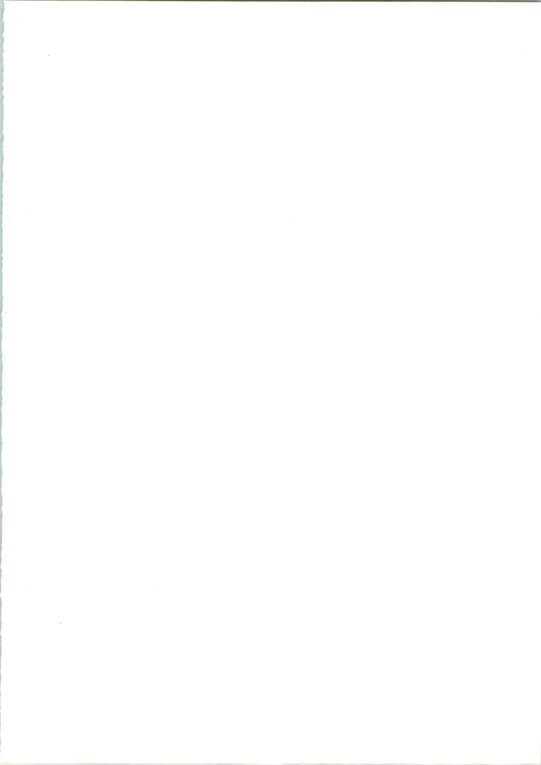 [Naitou Naito] Soru Ja Hunting Fhentai - Page 2