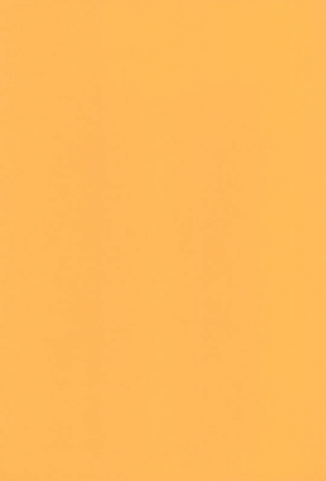 [Tori] Souta-nyan ni naru nyaa | Kanata-nyan Becomes a Cat nya~ Fhentai - Page 3