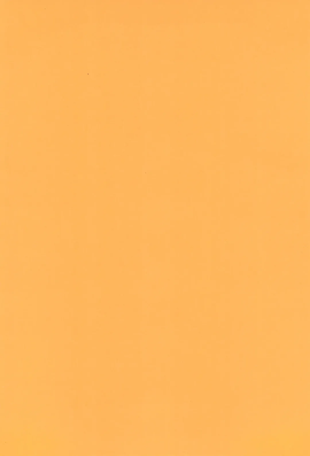 [Tori] Souta-nyan ni naru nyaa | Kanata-nyan Becomes a Cat nya~ Fhentai - Page 4