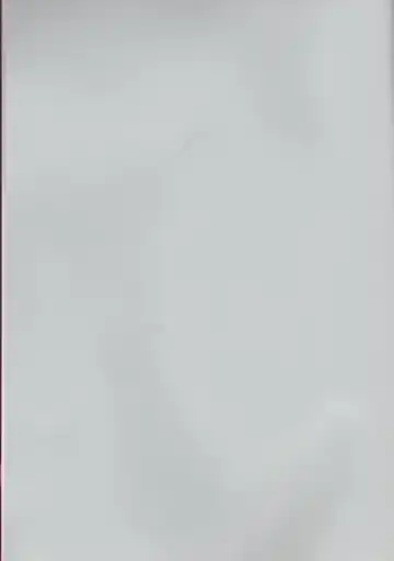 Toaru Souchou no Jouji Fhentai - Page 2