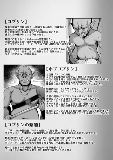 [Hirno] ELFIN QUEST #Goblin Haiboku Hen Fhentai - Page 36