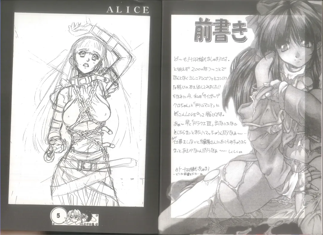 [Juubaori Mashumaro] 桃色申告書 ver.MILLENNIUM FALCON Fhentai - Page 4