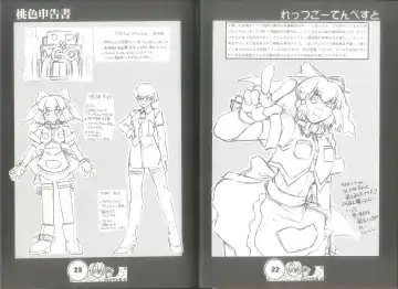 [Juubaori Mashumaro] 桃色申告書 ver.MILLENNIUM FALCON Fhentai - Page 13