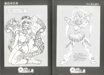 [Juubaori Mashumaro] 桃色申告書 ver.MILLENNIUM FALCON Fhentai - Page 25