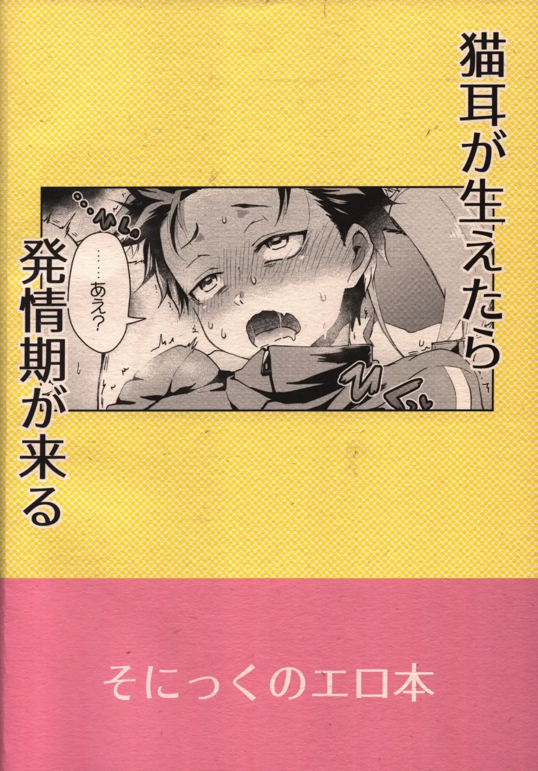 [Pana] Nyan-fluenza ni Ki o Tsukete! Fhentai - Page 22