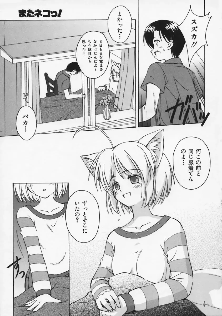 [Beti] Mataneko! Fhentai - Page 162