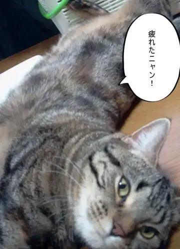 Ki ga Yowai Teishu no Joushi ni Netorareta Hitozuma Fhentai - Page 101