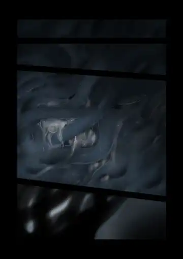 [Komota] Connect -Shoujo wa Shokushu to Ai o Tsumugu- Kouhen Fhentai - Page 49