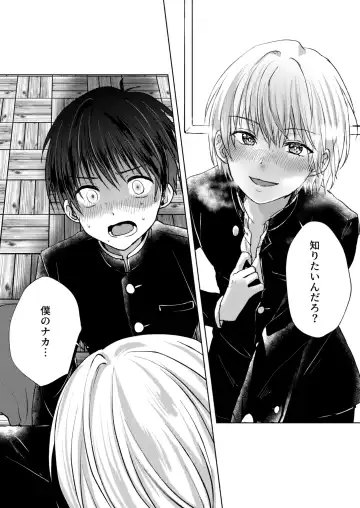 [Sazanami Suzune] Bishounen Raisan Fhentai - Page 31