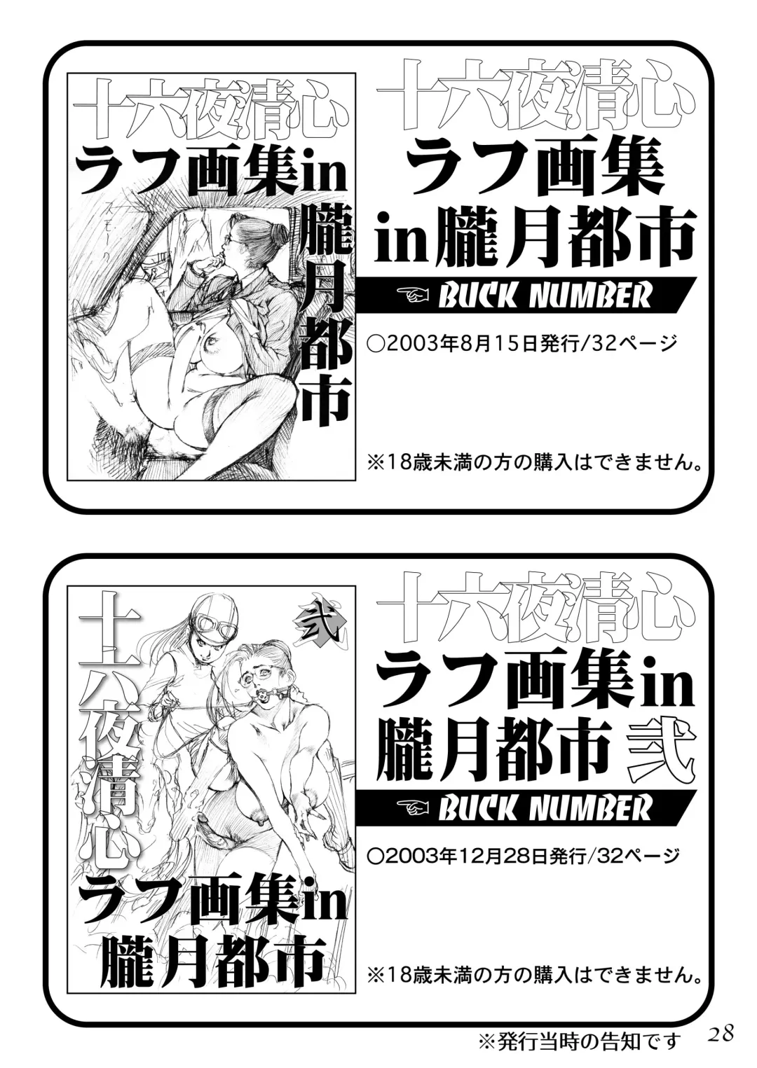 [Izayoi Seishin] Izayoi Rough Gashuu Fhentai - Page 27