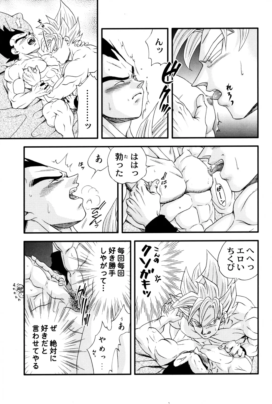 [Ossan] Dragonball Fan Book SPECIAL Fhentai - Page 14