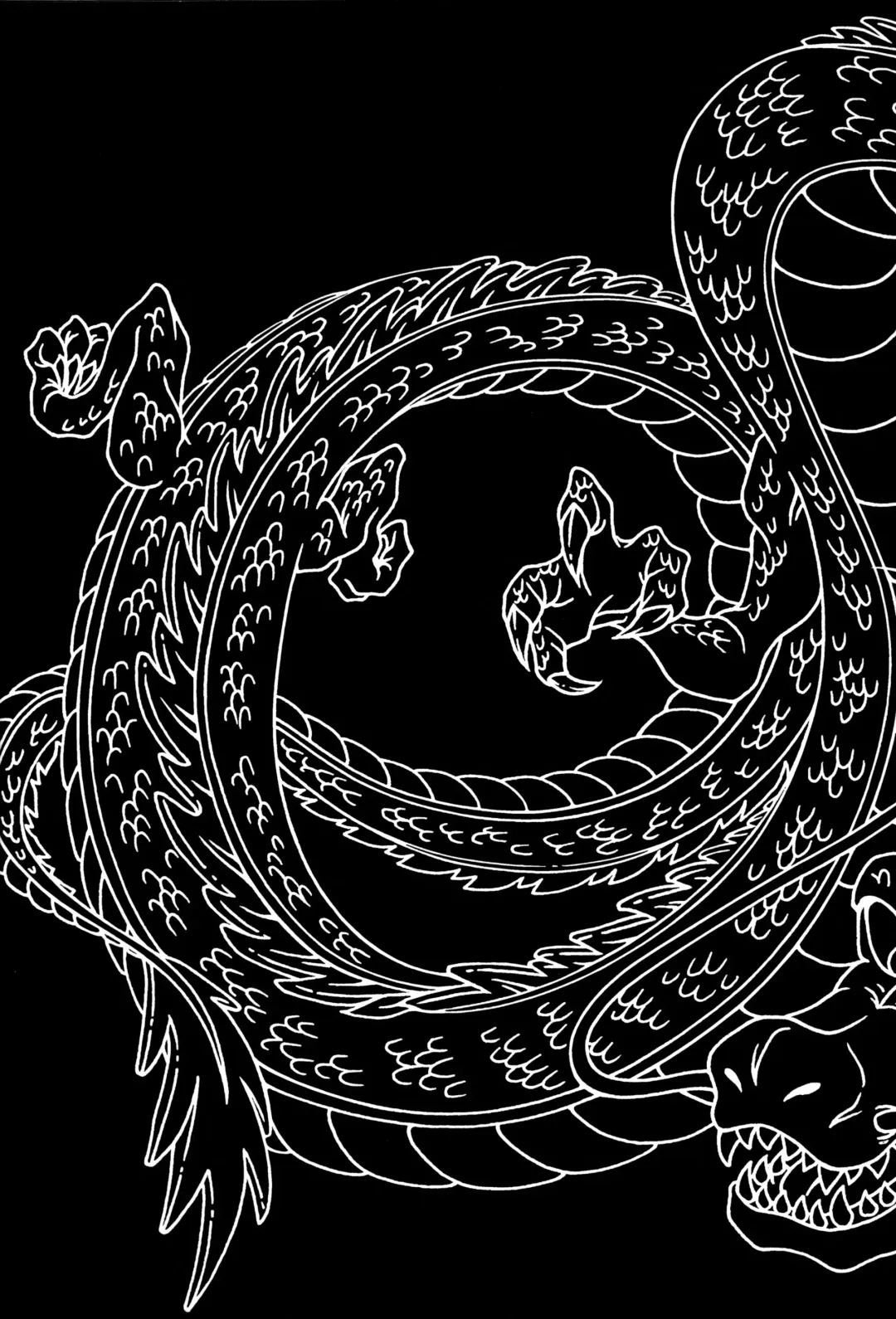 [Ossan] Dragonball Fan Book SPECIAL Fhentai - Page 3