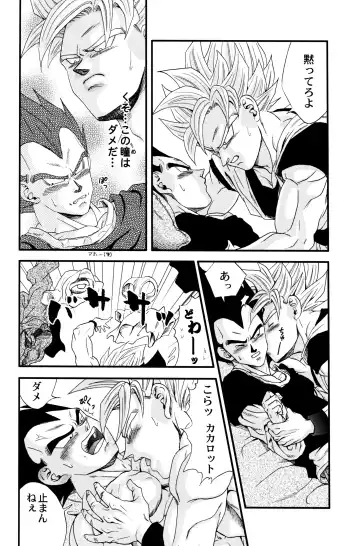 [Ossan] Dragonball Fan Book SPECIAL Fhentai - Page 13