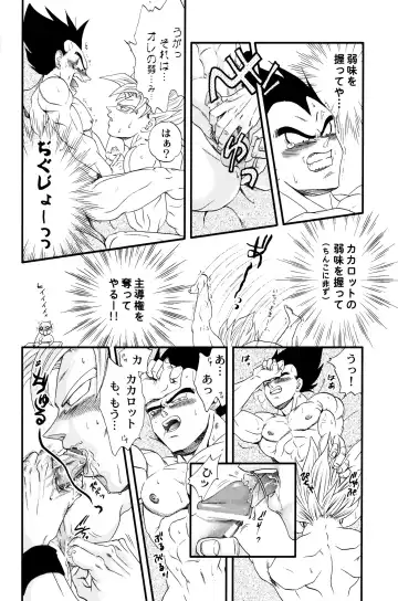 [Ossan] Dragonball Fan Book SPECIAL Fhentai - Page 15