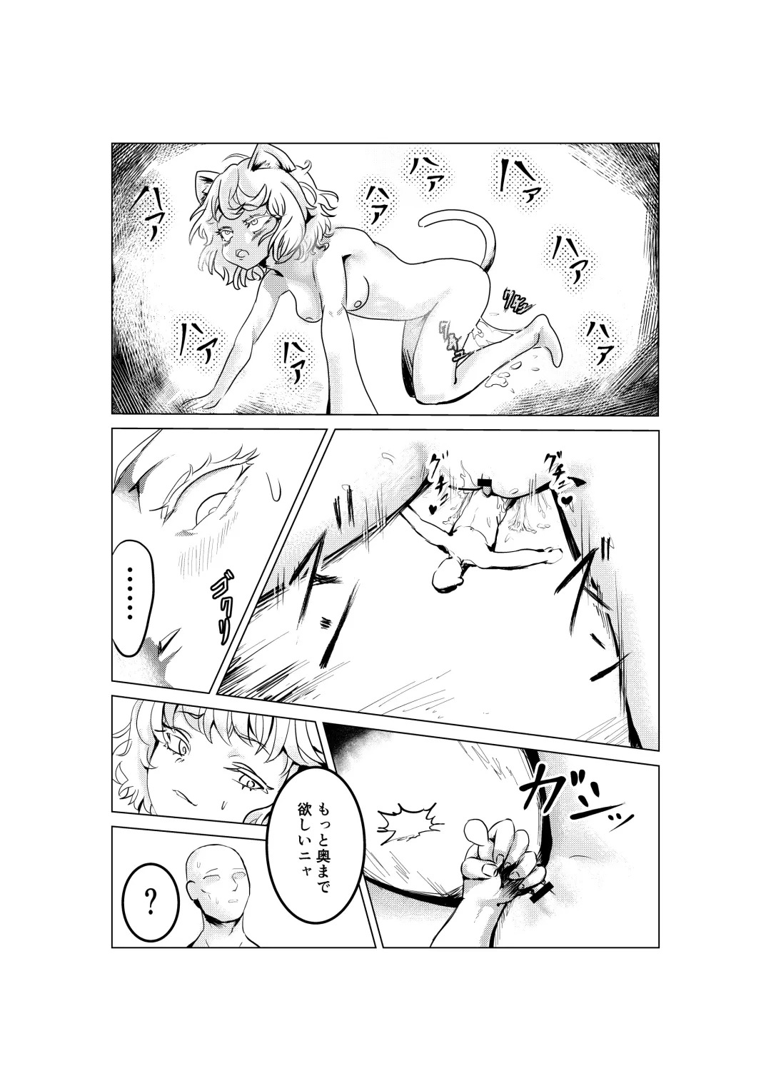 Neko Shrinker Fhentai - Page 12