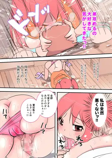 Hageshi Sugiru Onee-chan ~ Nikushoku Onee-chan Ni Yuka Don De Tabe Rare Chau Hanashi ~ Fhentai - Page 12