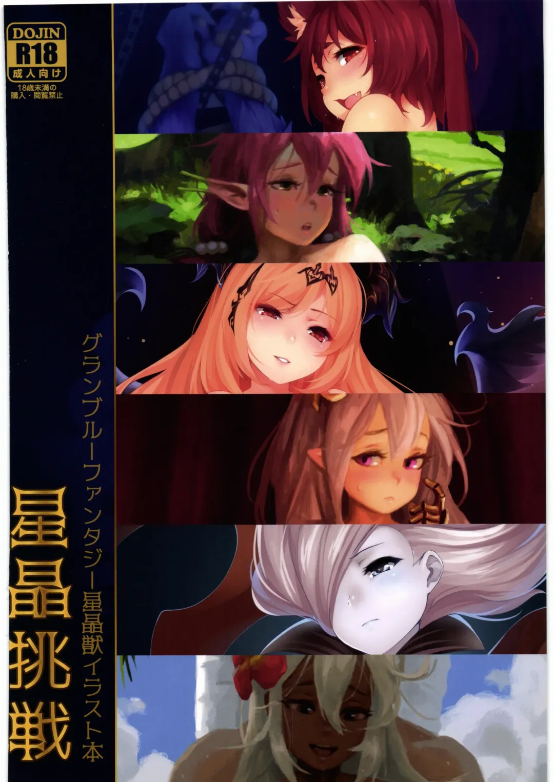 [Doyora - Magister - Ricegnat] Seisyou Cyousen Fhentai - Page 1