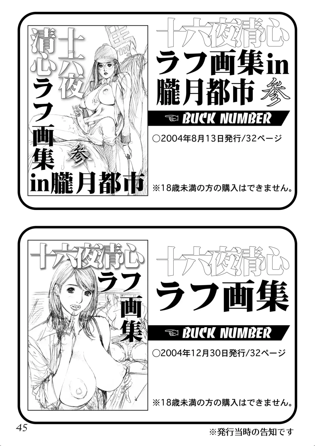 [Izayoi Seishin] Izayoi Seishin Rough Gashuu in M-jo Senka 2 Fhentai - Page 44