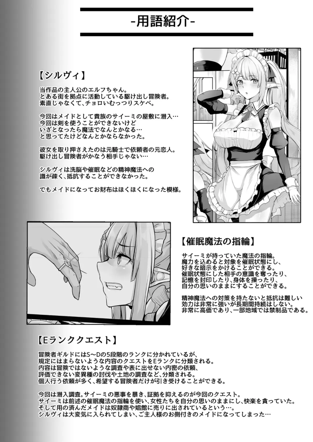 [Hirno] ELFIN QUEST #Maid Saimin Ryoujoku Hen Fhentai - Page 31
