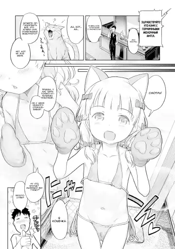 [Kiya Shii] Fairy to, Neko to, Oshigoto to | Fairy, Cats, and Work (decensored) Fhentai - Page 3