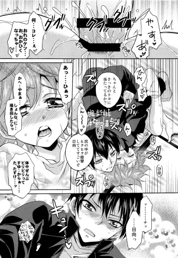 [Fukai Maro] Hinata-kun no Okiniiri Fhentai - Page 14