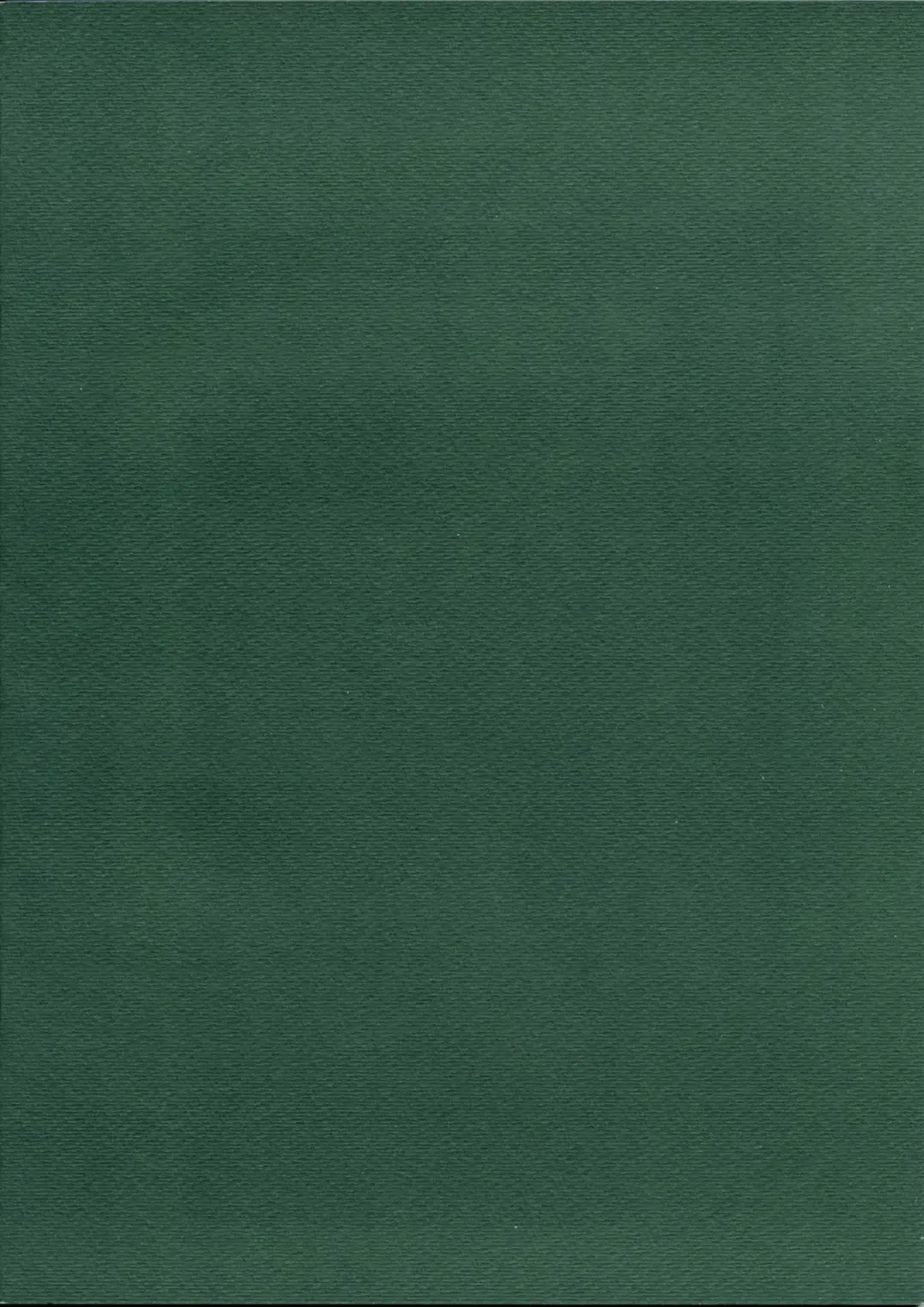 [Raita] Forget Me Not Fhentai - Page 30