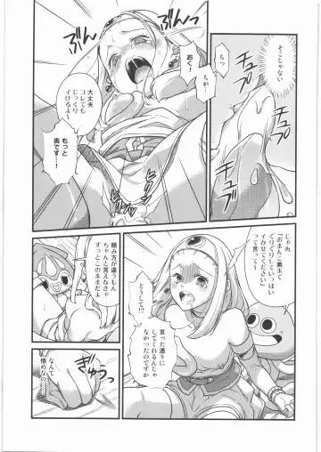 [Samoimo] Seijo Kanraku Fhentai - Page 28