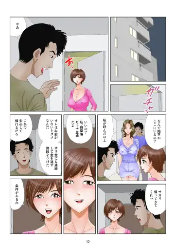 [Satou Shinmaru] Jidaraku Bitch Shufu Fhentai - Page 12