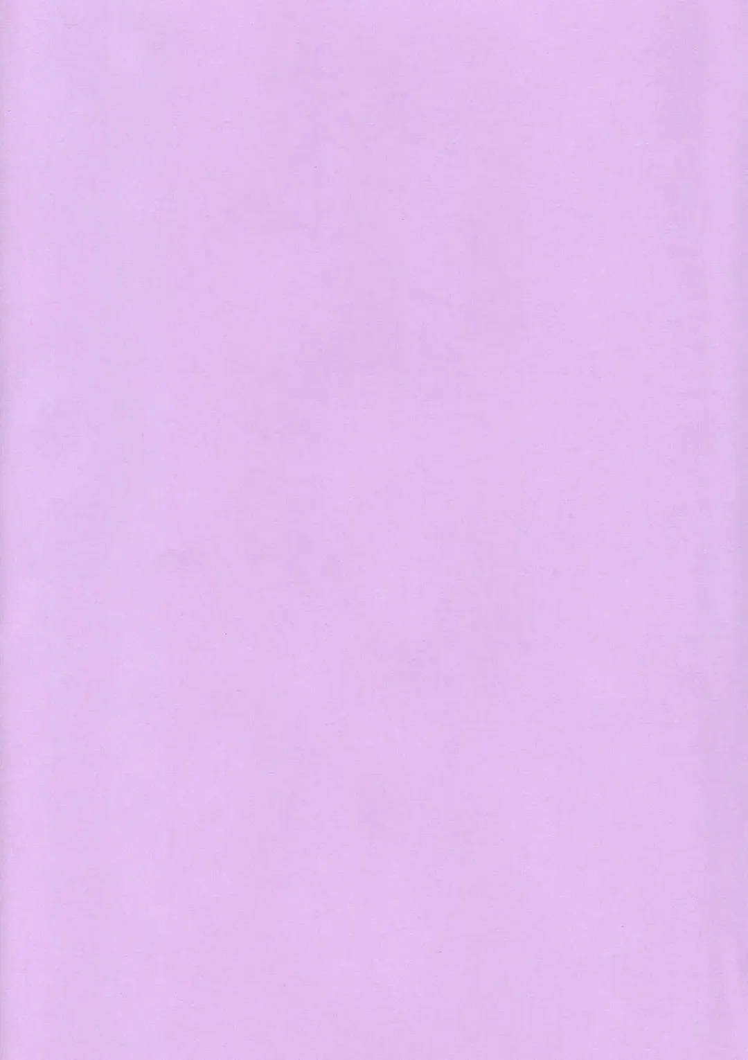 [Iruma Kamiri] INU/MURASAKI (decensored) Fhentai - Page 2