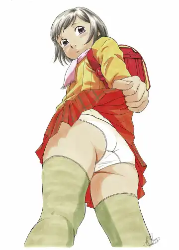 [Hayashibara Hikari] Analog  Illust Shuu Fhentai - Page 17