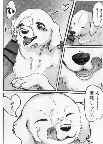 [Momou] Goshujin-sama! Konya no "Gohoubi" Mada desu ka! Fhentai - Page 7