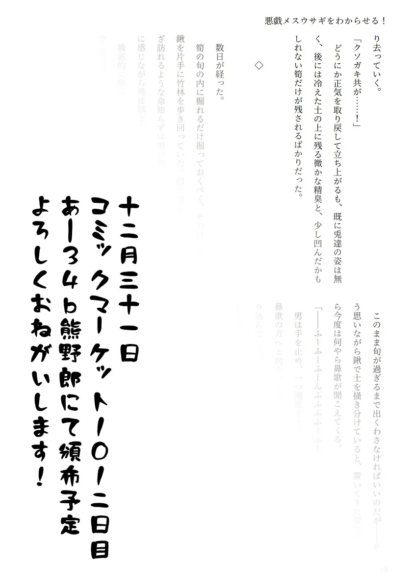 [Chin] Touhou R-18 novel "Understand mischievous female rabbits!" Fhentai - Page 14