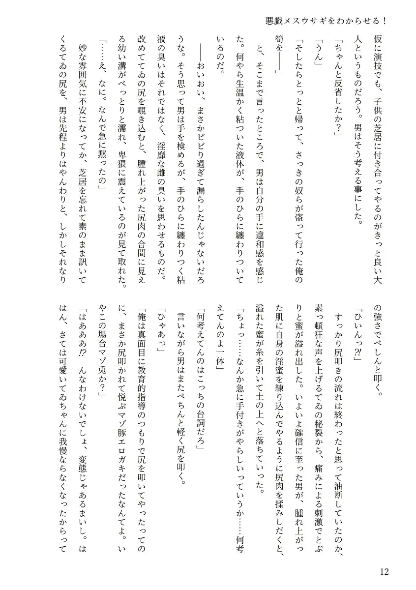 [Chin] Touhou R-18 novel "Understand mischievous female rabbits!" Fhentai - Page 8