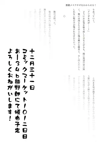 [Chin] Touhou R-18 novel "Understand mischievous female rabbits!" Fhentai - Page 14