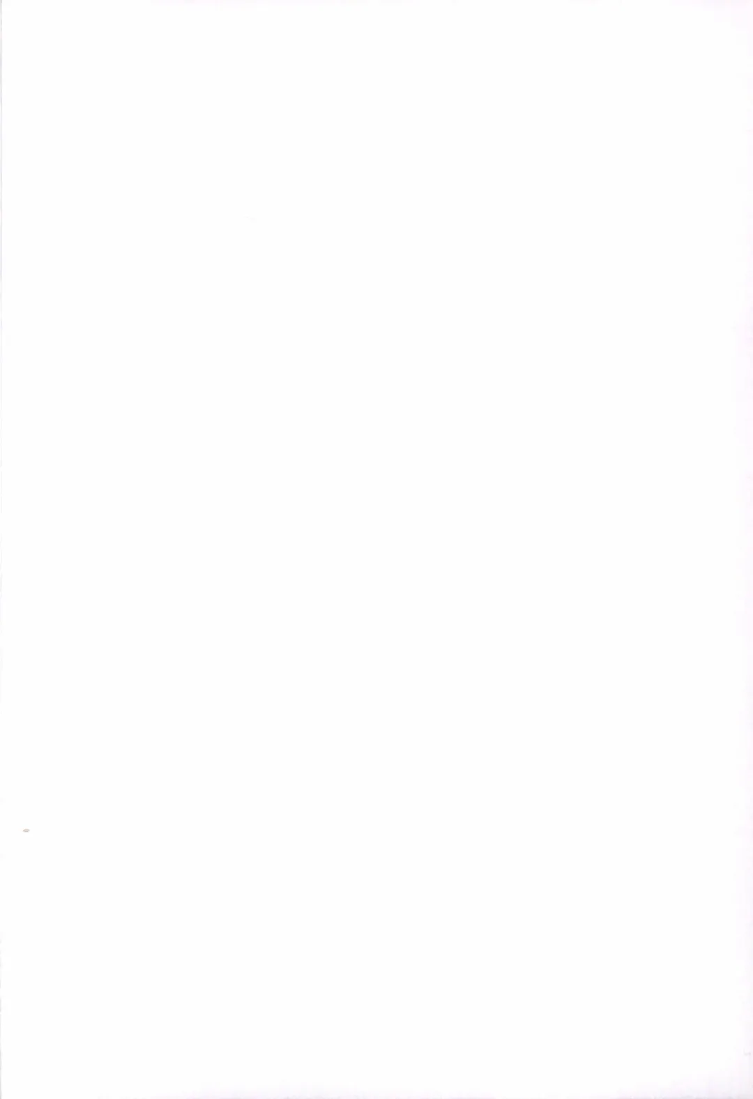 [Rioko] RE:LIGHT Fhentai - Page 2