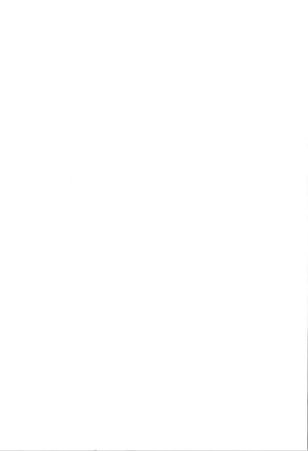 TS Mesugaki Aniki o Wakarasetai Fhentai - Page 2