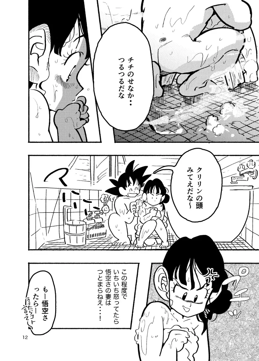 [Syohei] Dragon Ball Fanbook GokuxChihci Fhentai - Page 10