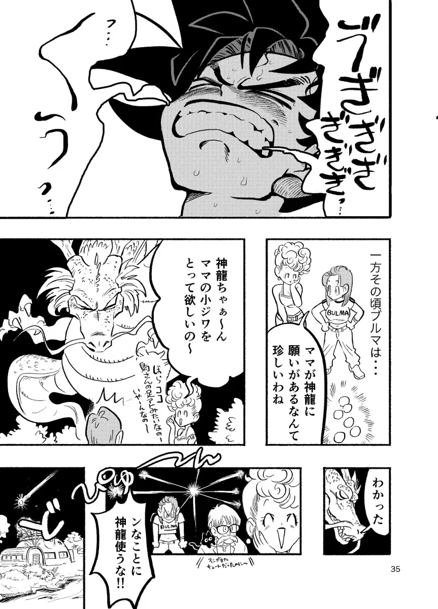[Syohei] Dragon Ball Fanbook GokuxChihci Fhentai - Page 33