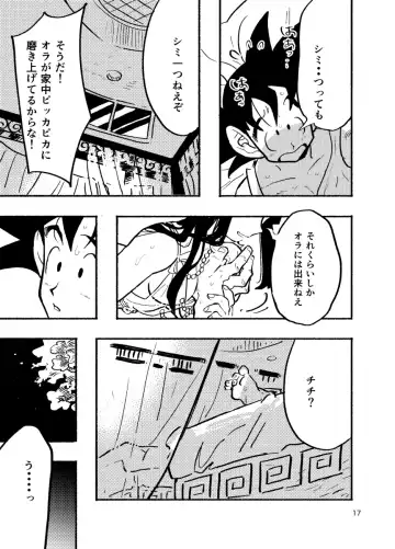 [Syohei] Dragon Ball Fanbook GokuxChihci Fhentai - Page 15