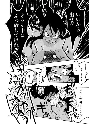 [Syohei] Dragon Ball Fanbook GokuxChihci Fhentai - Page 32