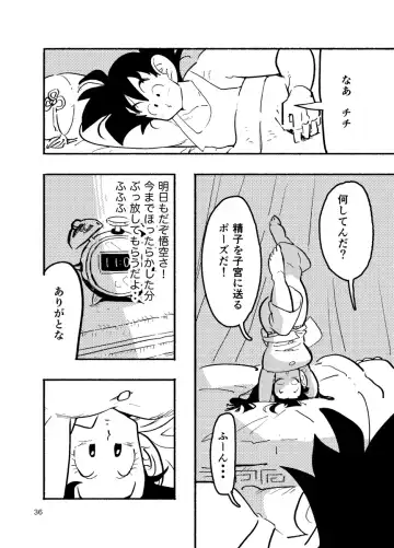 [Syohei] Dragon Ball Fanbook GokuxChihci Fhentai - Page 34